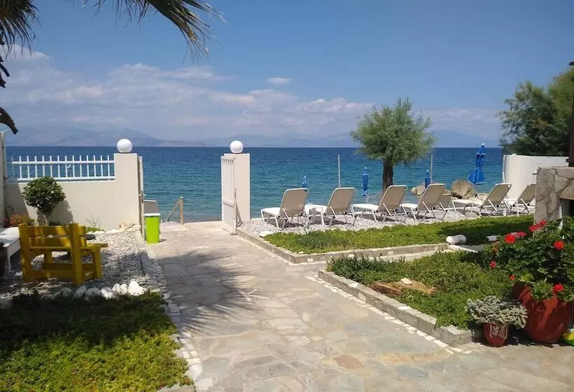 ホテル Villa Constantina Apartments