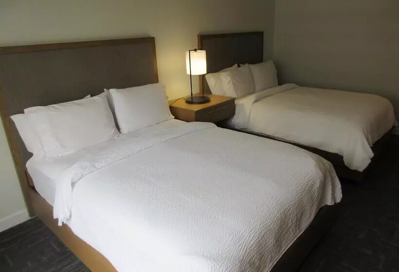 Holiday Inn Express Hotel & Suites Houston Downtown Convention Center, An Ihg