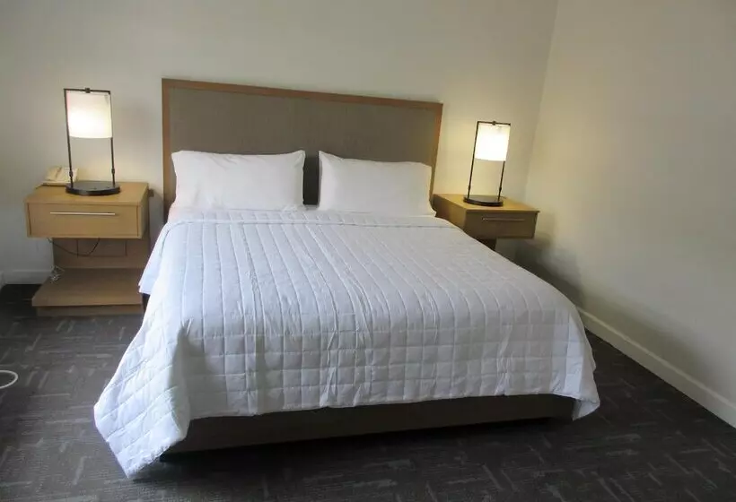 Holiday Inn Express Hotel & Suites Houston Downtown Convention Center, An Ihg