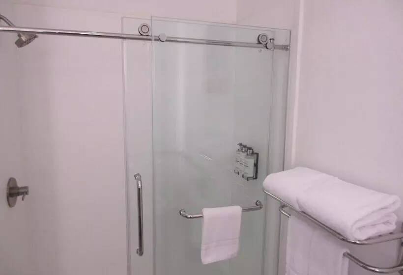 Holiday Inn Express Hotel & Suites Houston Downtown Convention Center, An Ihg