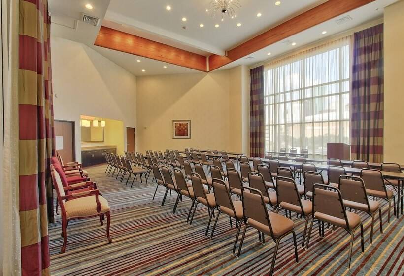 Holiday Inn Express Hotel & Suites Houston Downtown Convention Center, An Ihg