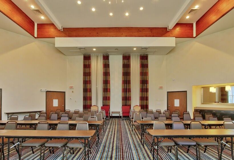 Holiday Inn Express Hotel & Suites Houston Downtown Convention Center, An Ihg