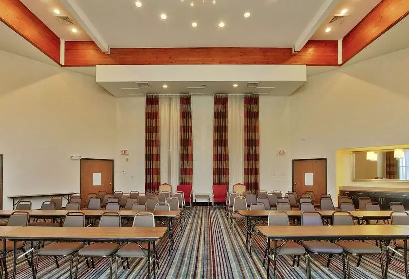 Holiday Inn Express Hotel & Suites Houston Downtown Convention Center, An Ihg