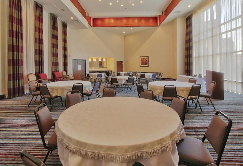 Holiday Inn Express Hotel & Suites Houston Downtown Convention Center, An Ihg