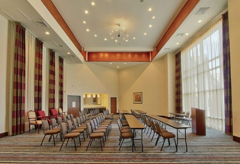 Holiday Inn Express Hotel & Suites Houston Downtown Convention Center, An Ihg