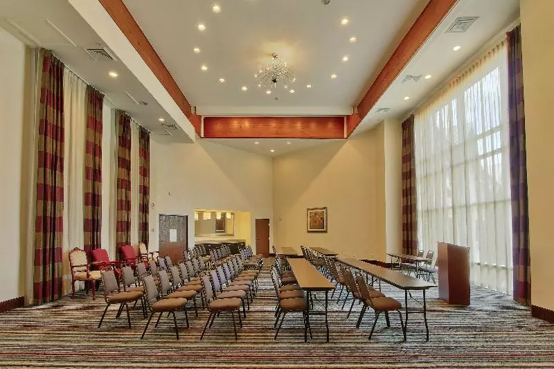 Holiday Inn Express Hotel & Suites Houston Downtown Convention Center, An Ihg