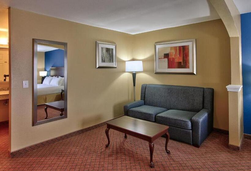 Holiday Inn Express Hotel & Suites Houston Downtown Convention Center, An Ihg