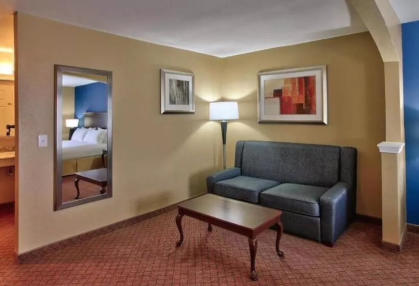 Holiday Inn Express Hotel & Suites Houston Downtown Convention Center, An Ihg