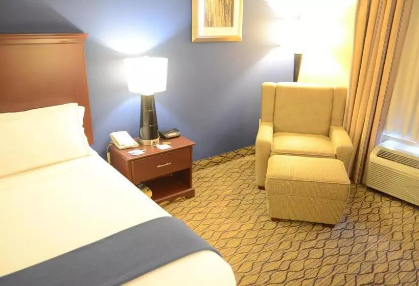 Holiday Inn Express Hotel & Suites Houston Downtown Convention Center, An Ihg