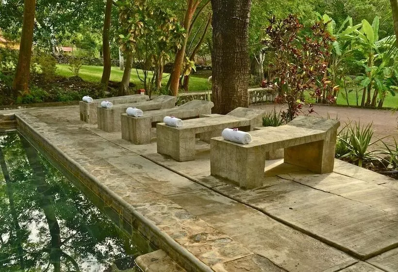 酒店 Misión Concá