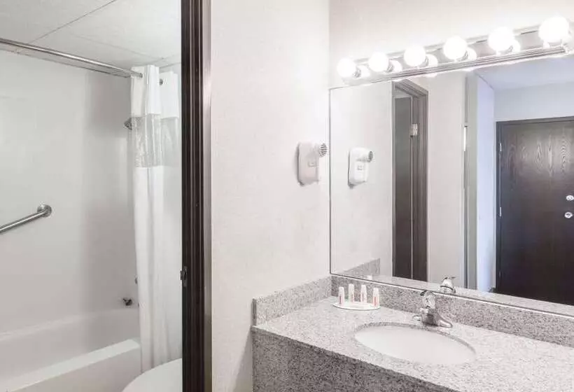 호텔 Ramada Plaza By Wyndham Albany