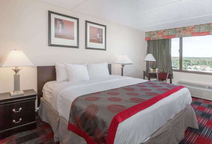 Отель Ramada Plaza By Wyndham Albany