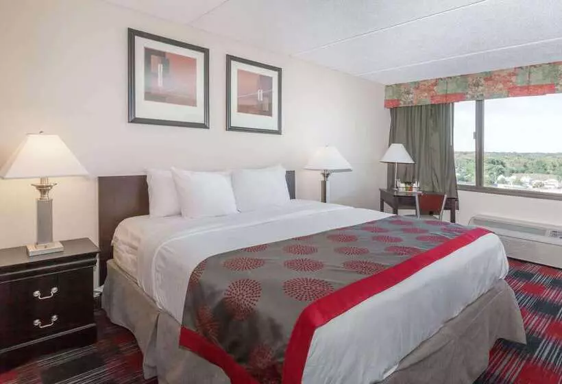 호텔 Ramada Plaza By Wyndham Albany