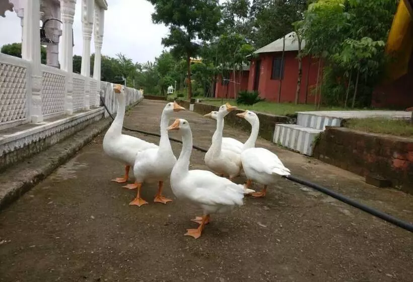 Hotelli Deshawar Resort