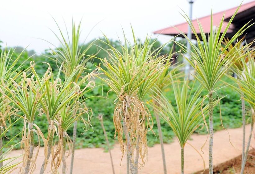 فندق Deshawar Resort