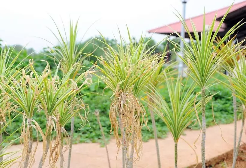 Hotelli Deshawar Resort