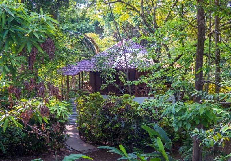 فندق Encanta La Vida