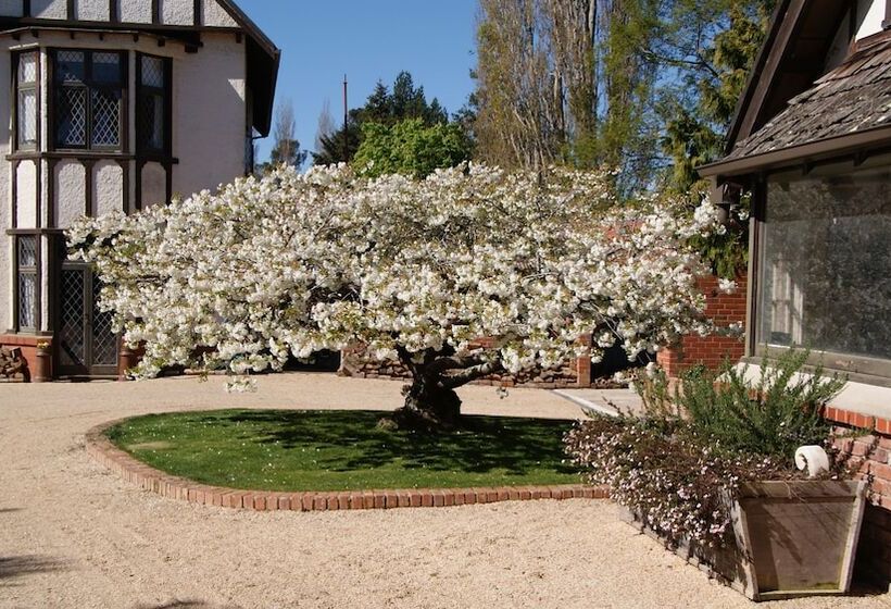 Отель The Birches Bed & Breakfast