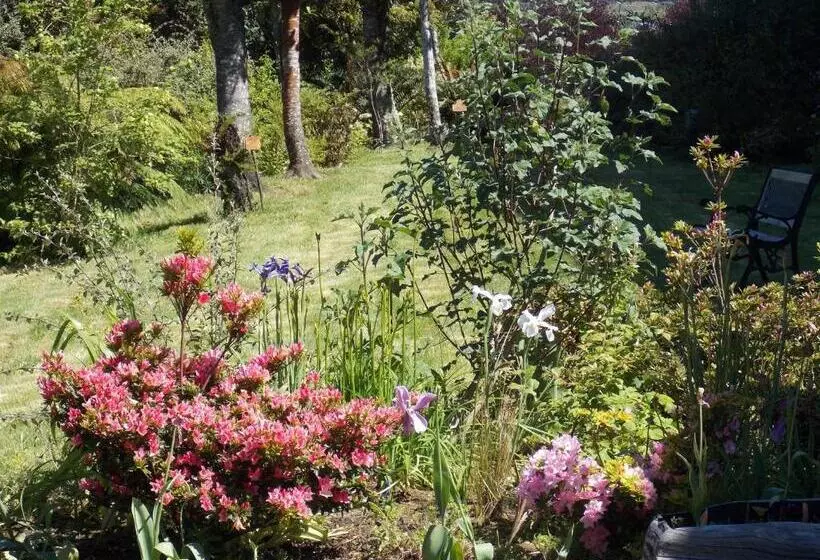 Отель Patagonia Insular