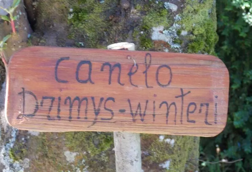 Отель Patagonia Insular