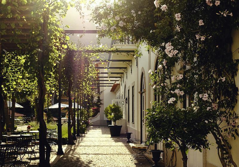 Отель The Vintage House Douro