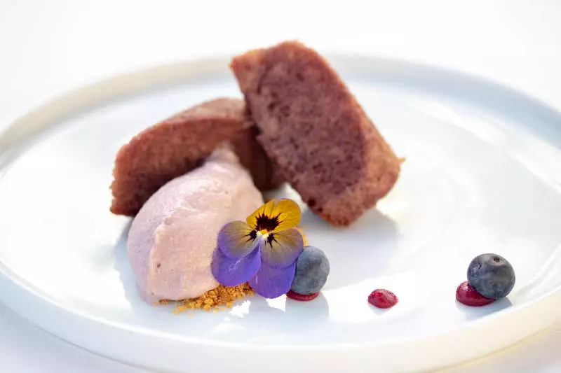 هتل The Vintage House Douro