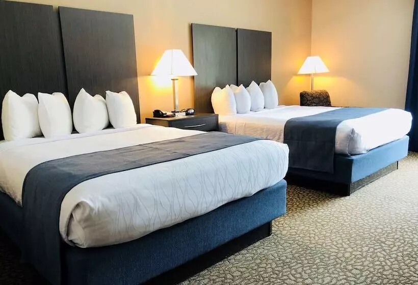 Best Western Plus Bradenton Hotel & Suites