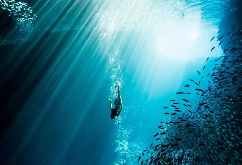 Hôtel Four Seasons Resort Hualalai