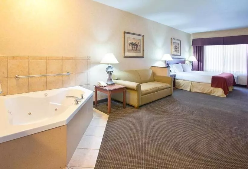 Holiday Inn Express Hotel & Suites Barstow Outlet Center By Ihg