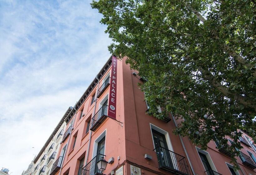 ホテル Petit Palace Plaza Del Carmen