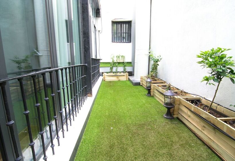 ホテル Petit Palace Plaza Del Carmen