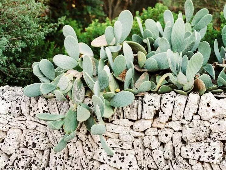 فندق ريفى Casal Santa Eulàlia