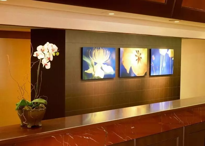 Sheraton Park Hotel At The Anaheim Resort