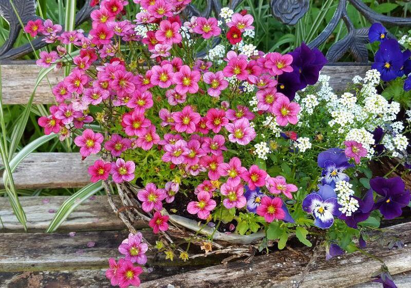 Hotel Mansefield House