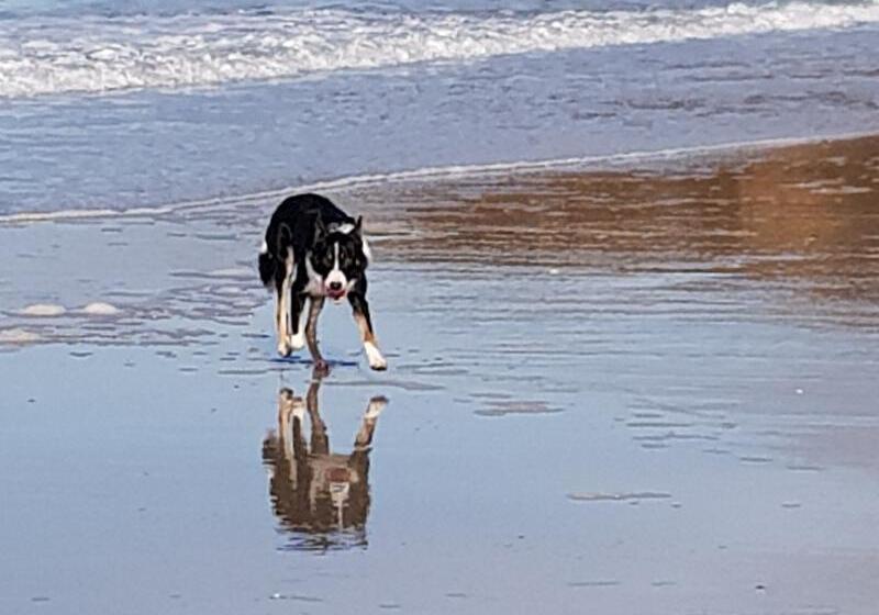 Hotel Mansefield House