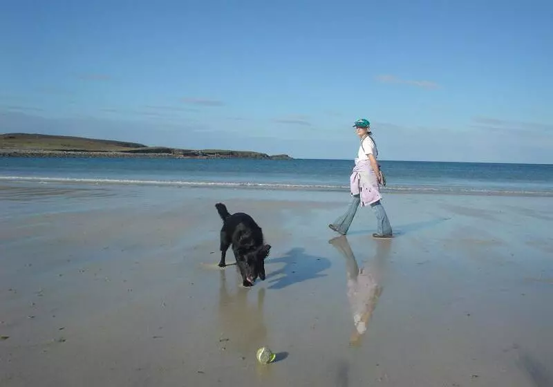 ホテル Mansefield House