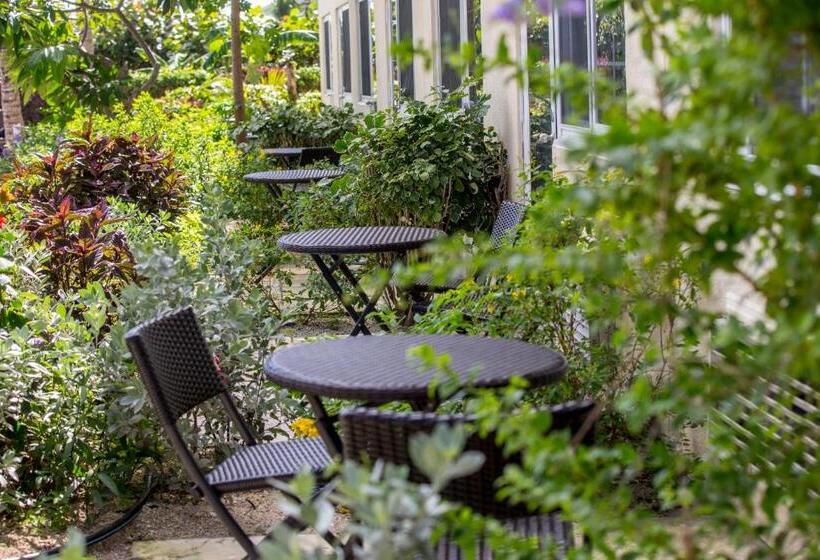 هتل Ports Of Call Resort