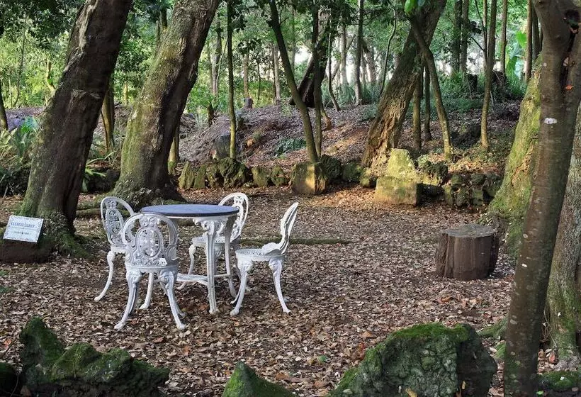 Отель Solar Do Conde Garden