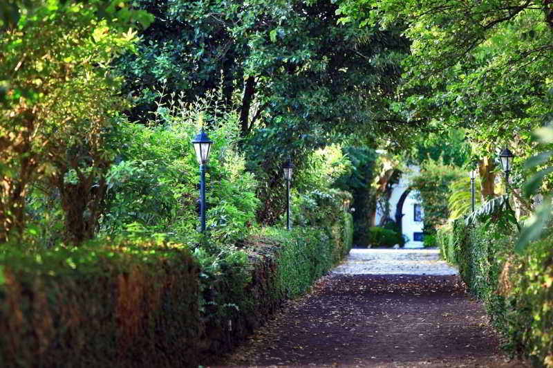 酒店 Solar Do Conde Garden