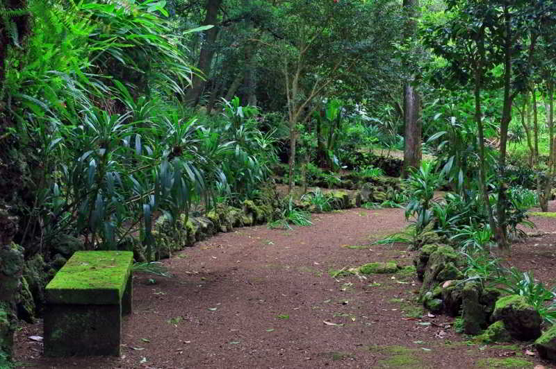 酒店 Solar Do Conde Garden