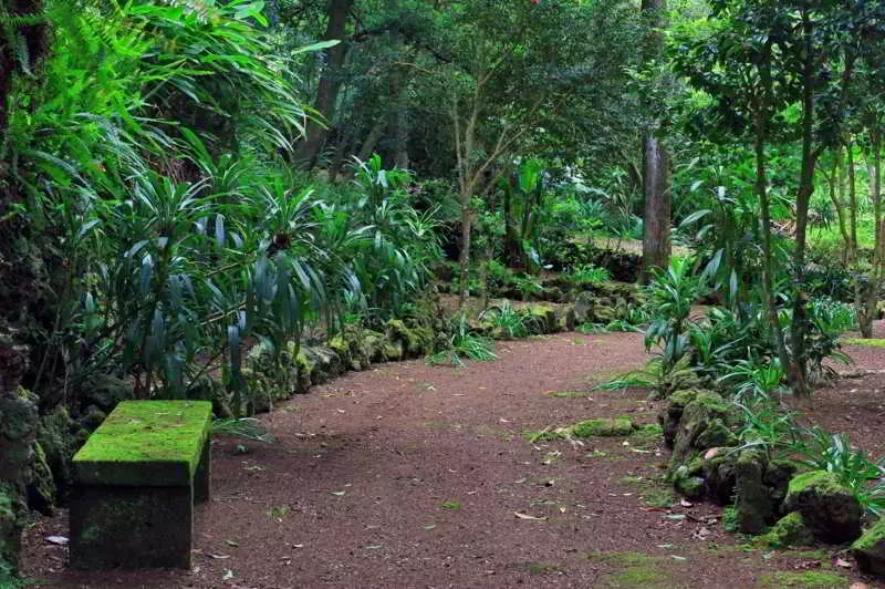 Отель Solar Do Conde Garden