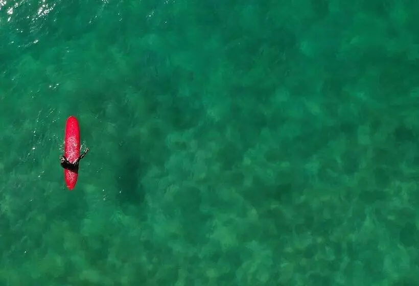 The Yogi Surfer   Hostel