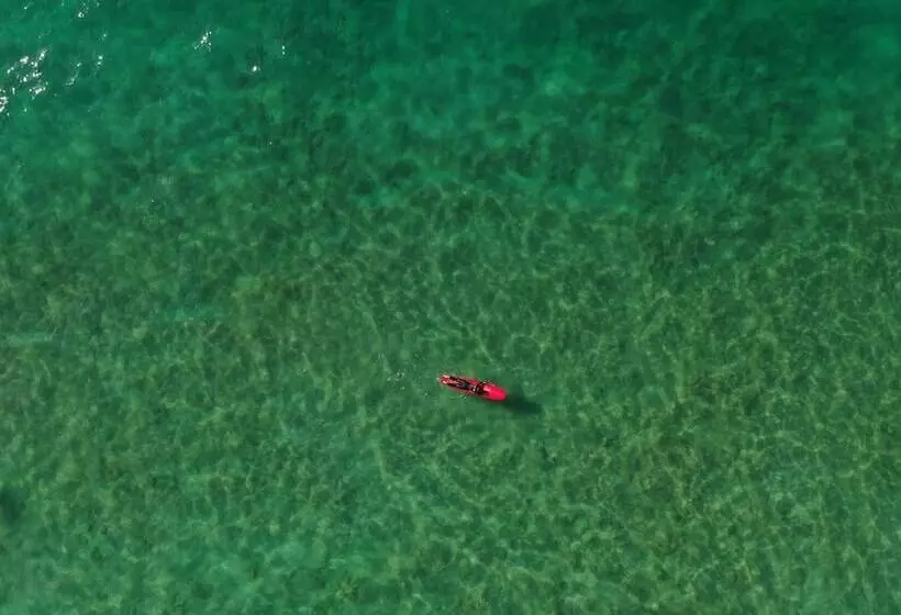 The Yogi Surfer   Hostel