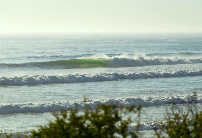 The Yogi Surfer   Hostel