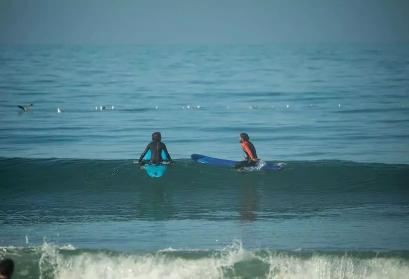 The Yogi Surfer   Hostel