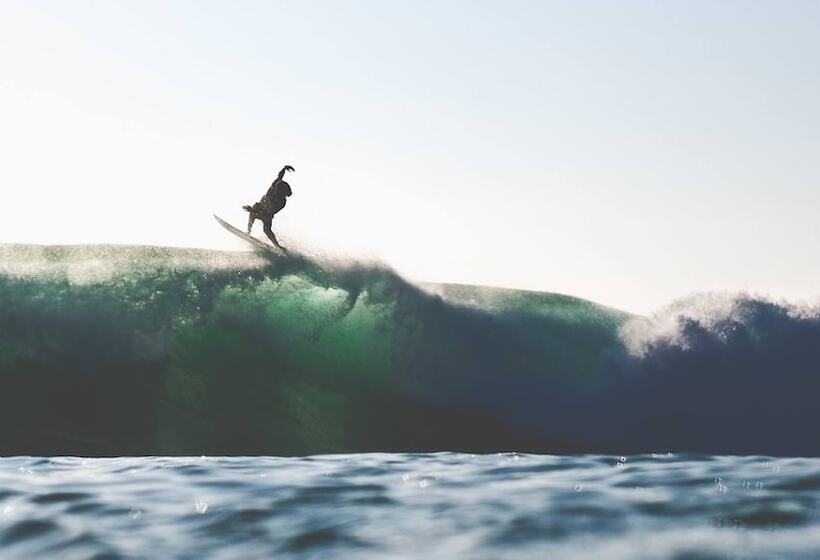 The Yogi Surfer   Hostel