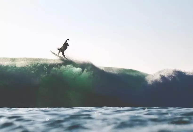 The Yogi Surfer   Hostel