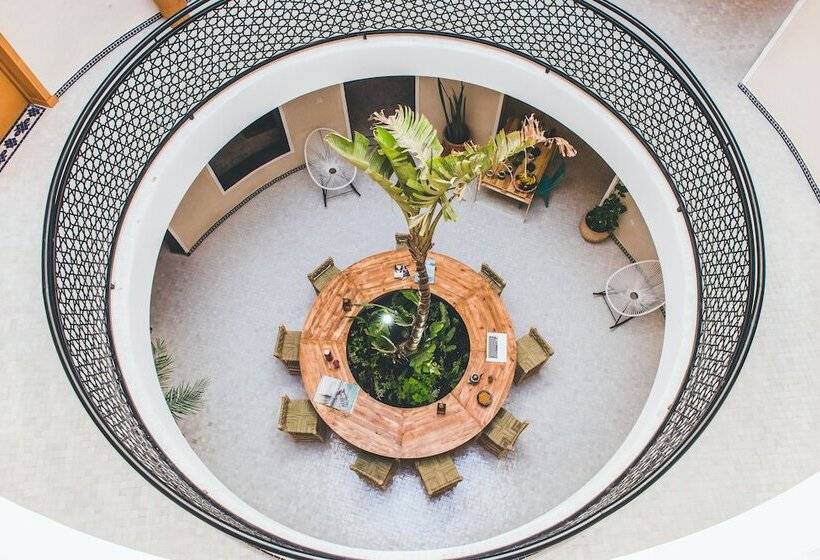 The Yogi Surfer   Hostel