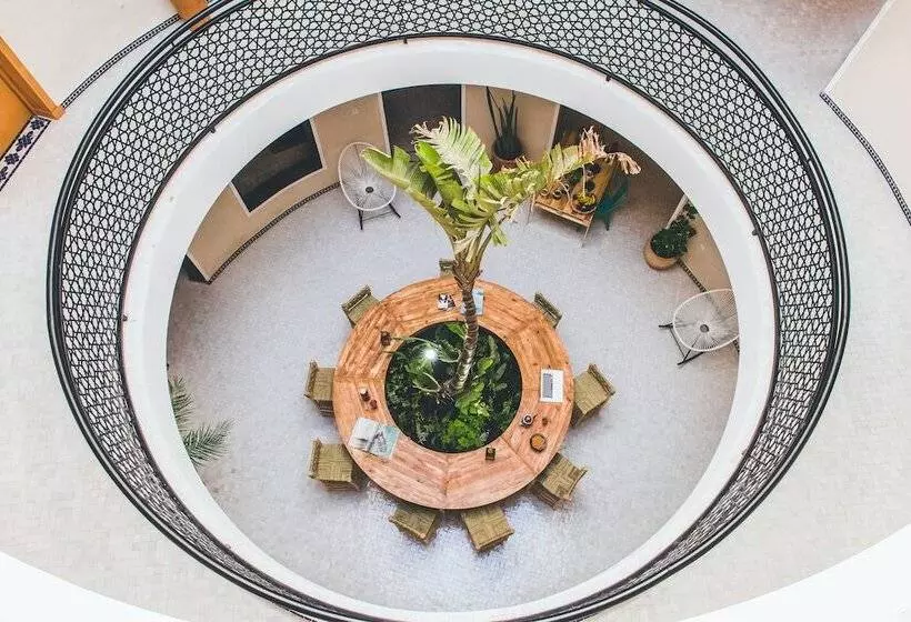 The Yogi Surfer   Hostel