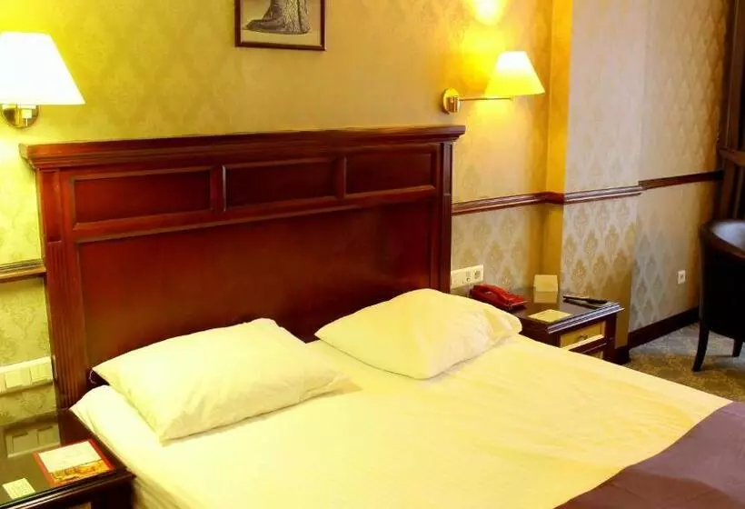 هتل Topkapi Inter Istanbul